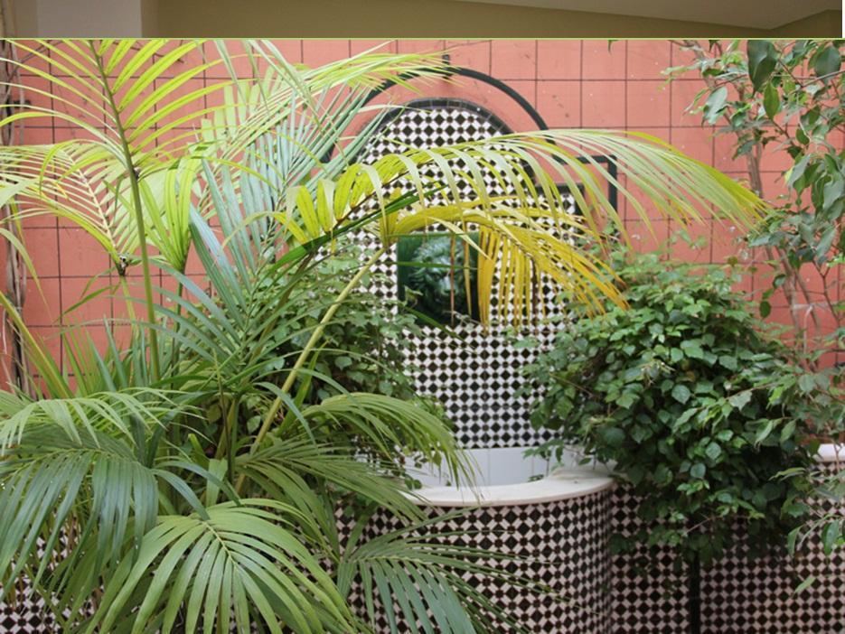 Hotel Plateria Écija Interiér fotografie